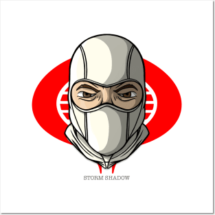 STORM SHADOW Posters and Art